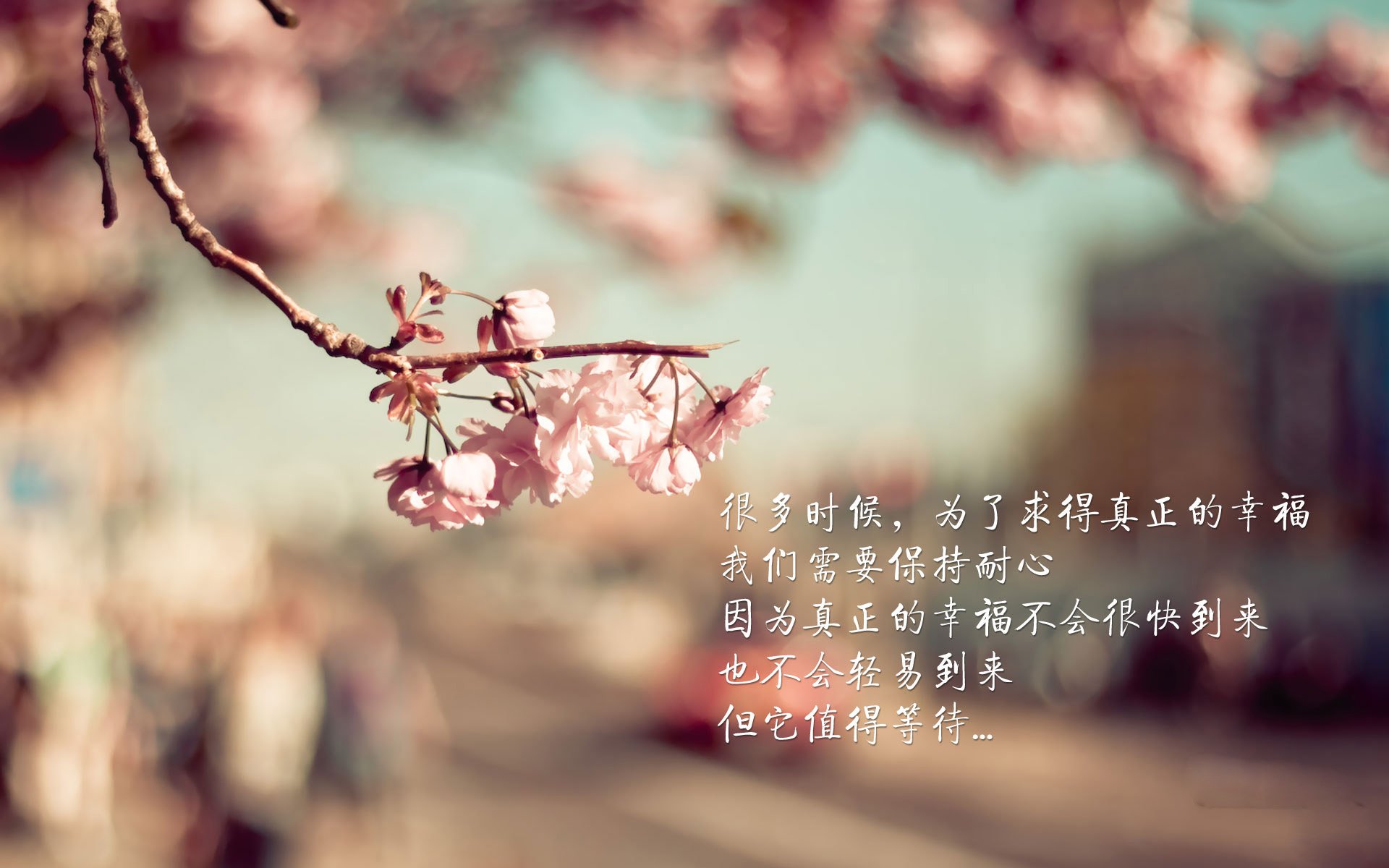 冰岛买单开吹 国内赞助后援欧预赛相关活动，冰岛足球联赛直播