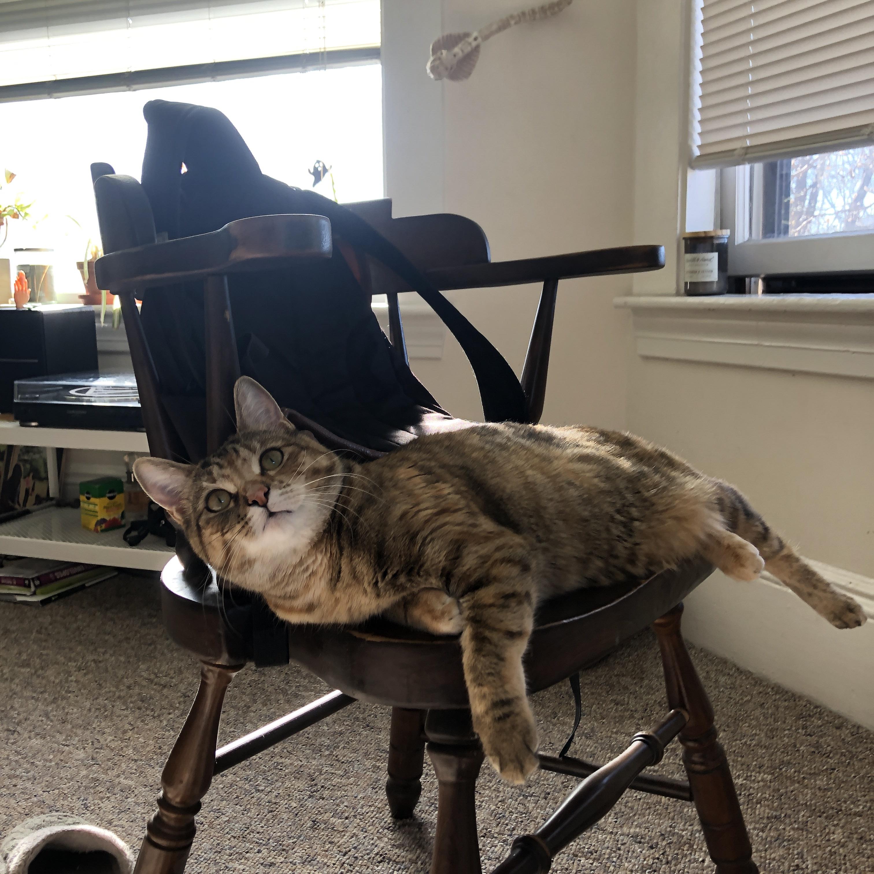 国足全队合力战胜对手,晋级国际赛决赛,国足 决赛