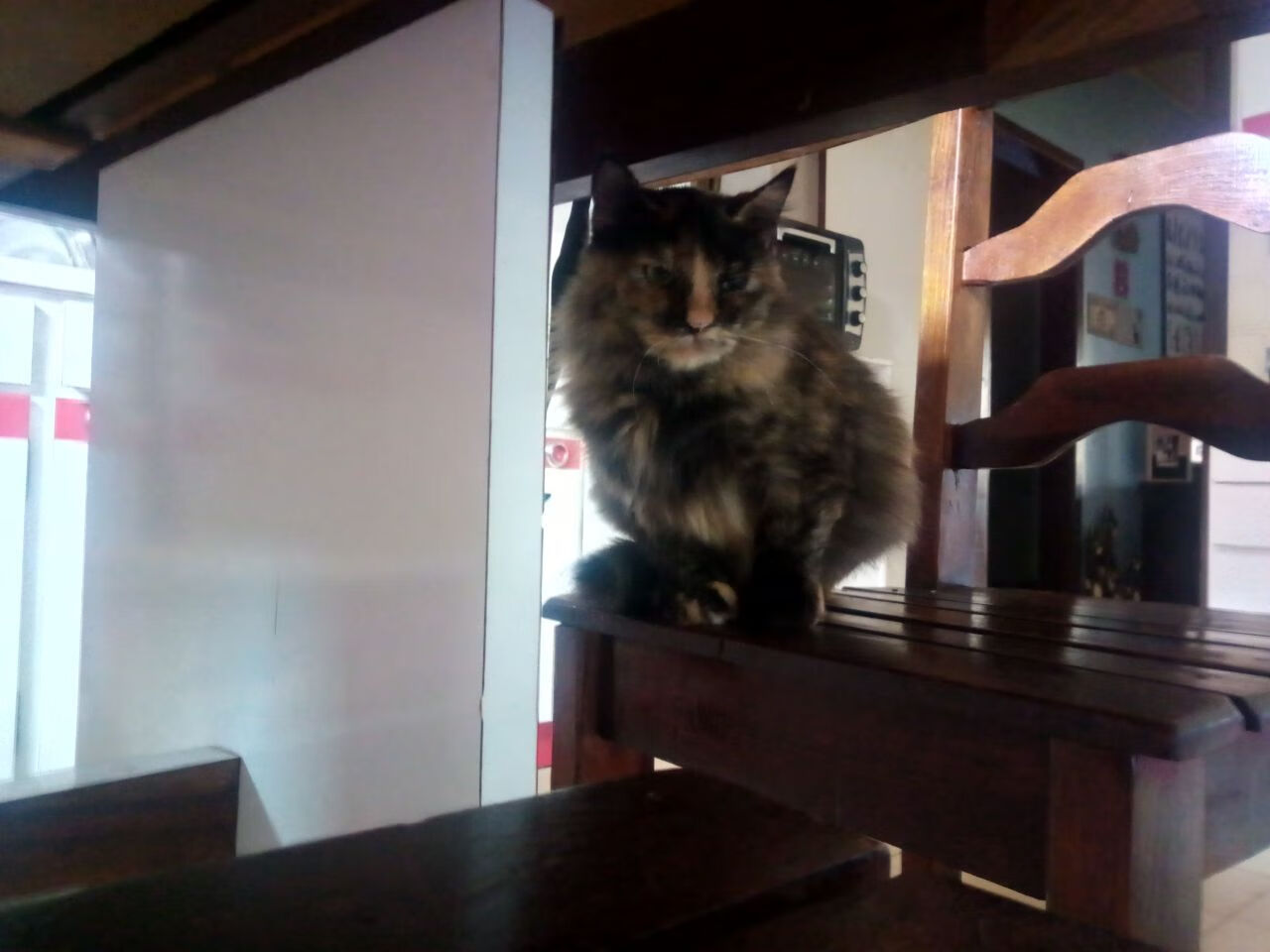 乐鱼体育平台官网-热血澎湃的体育竞技，观众欢呼不止，体育竞技霸气口号