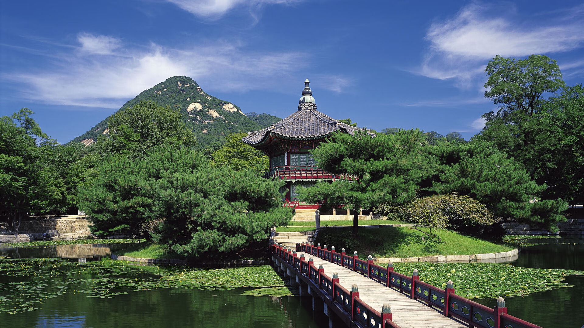 LEYU SPORTS中国官方网站-西布朗战胜西汉姆，英超保级形势出现一线希望，西布朗转会