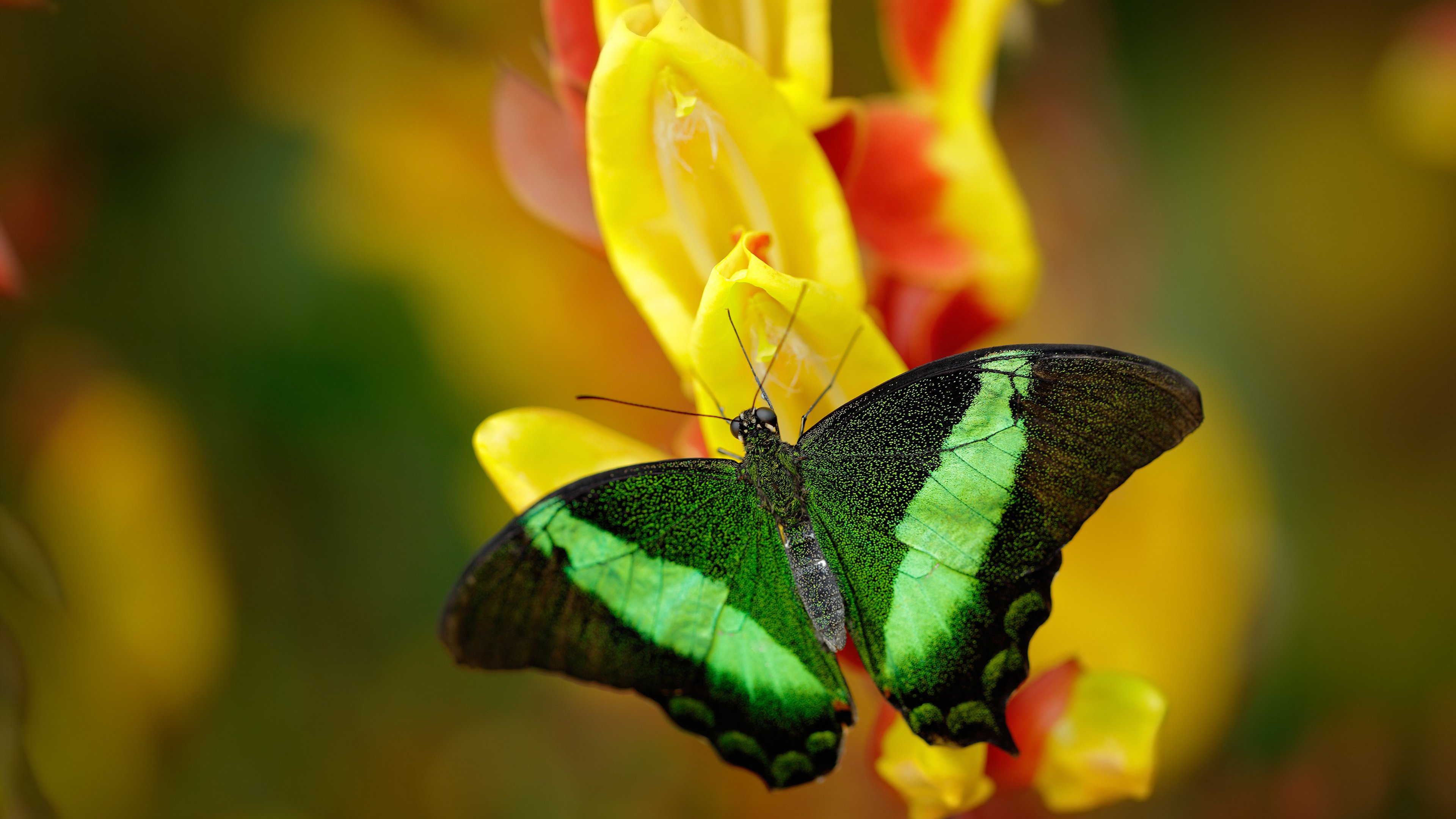 体育教学中学生参与度提升策略研究,初中体育教学提升学生主动参与策略研究