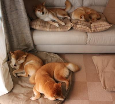 乐鱼电竞-国足阵地战进攻节奏调控能力对比，国足比赛规律