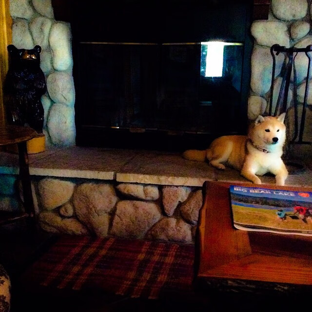 国足阵地战进攻节奏调控能力对比,国足比赛规律