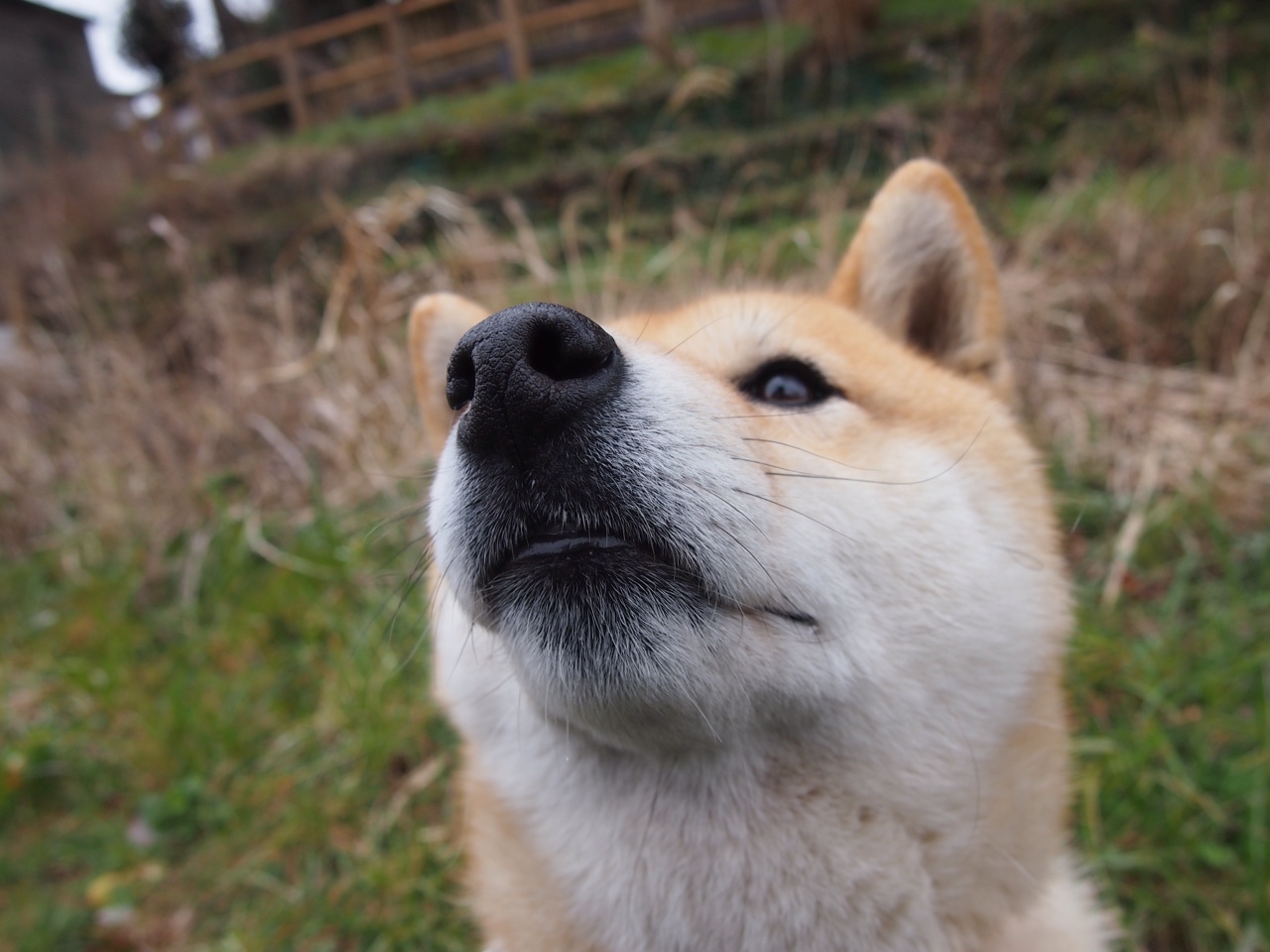 篮球运动员训练负荷智能监控与调整技术研究，篮球专项负荷设计与安排