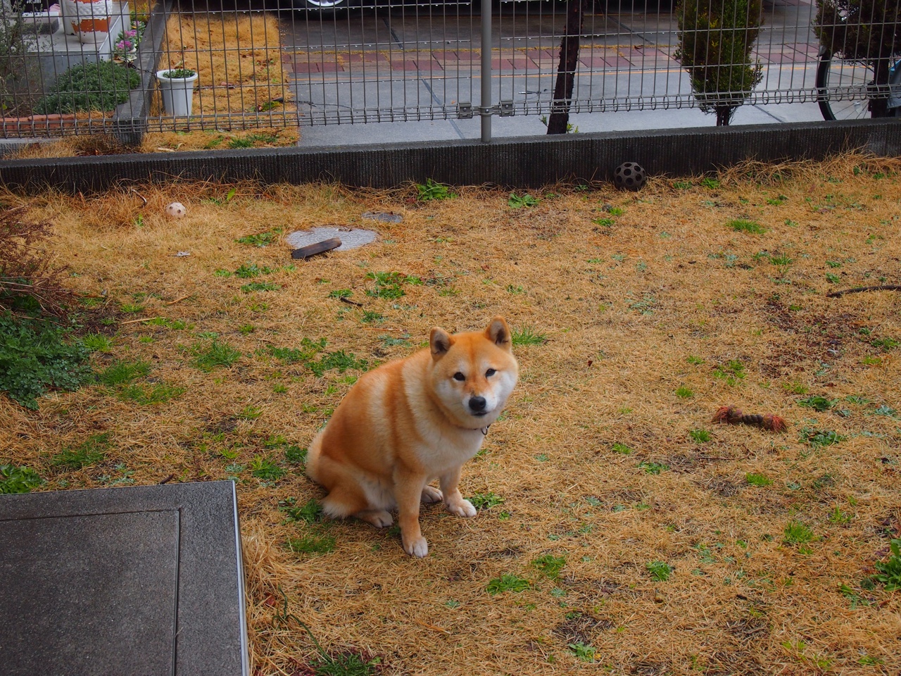 中国男篮海外拉练取得积极成果 战术配合默契提升，中国男篮外卡赛