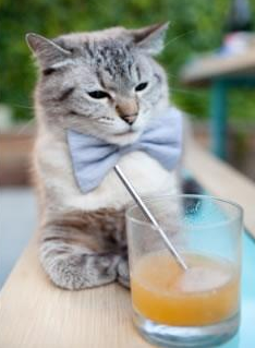 五大联赛球队如何构建紧急防守阵型应对节奏疲软，五大联赛防守最好的球队