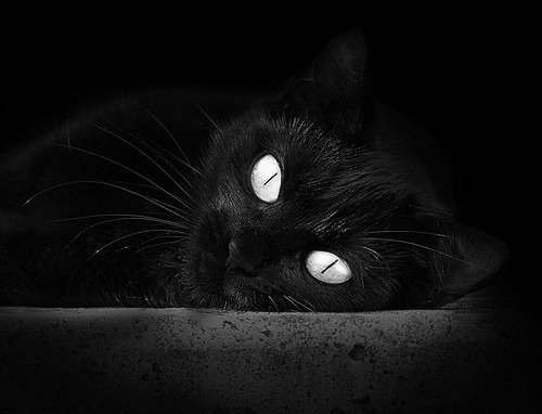 本月场均得分涨幅最大的球员,本月场均得分涨幅最大的球员是