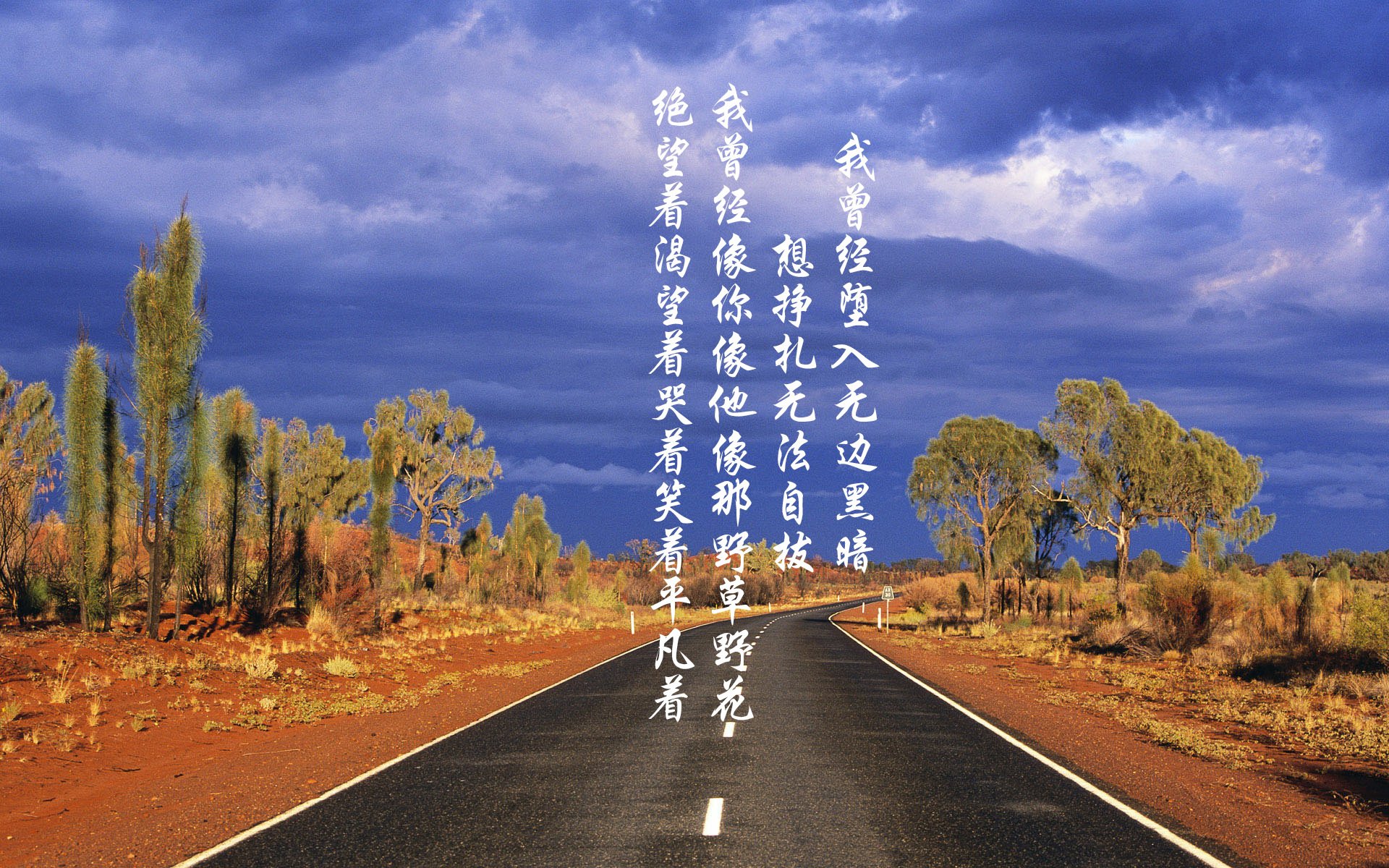 波兰队未来发展:如何增强比赛中的耐力与应变能力,波兰队防守如何