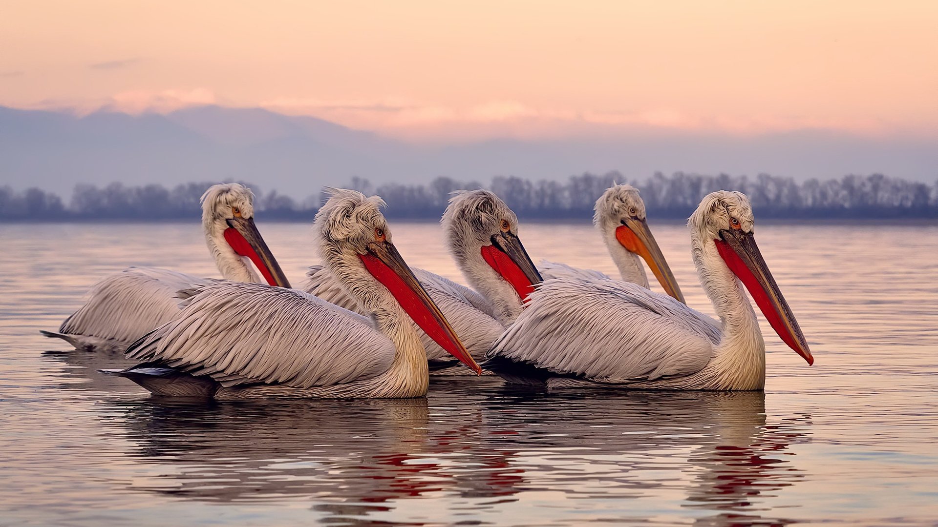 联赛前十名球队失球数与胜率关系浅析，五大联赛 失球最少记录