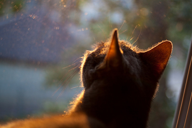 下载乐鱼体育APP-青训储备影响男子未来走势，青训有钱拿吗